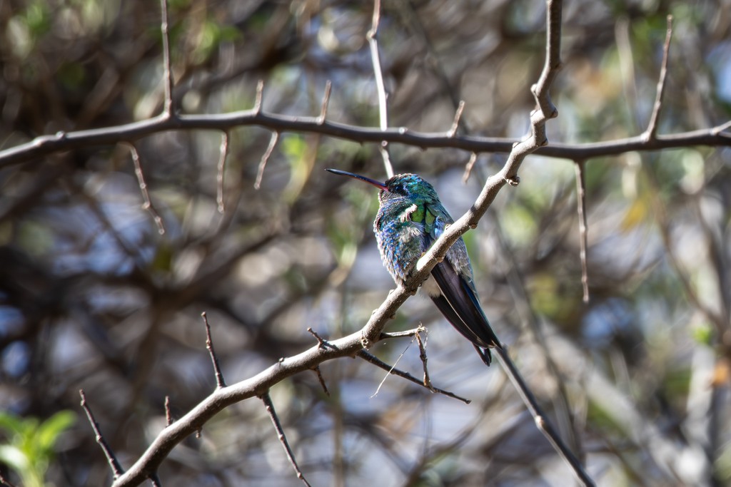 Photography by Jacob Burress — 18